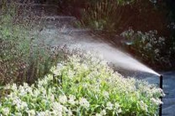 Bewässerungsanlage im Garten