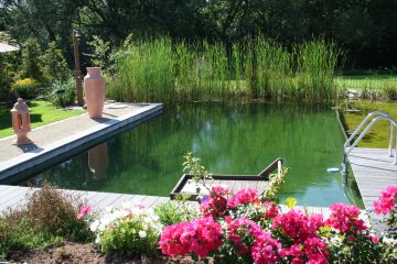 Poolpflege und Schwimmteichpflege für Gärten